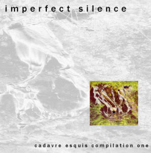 imperfect silence